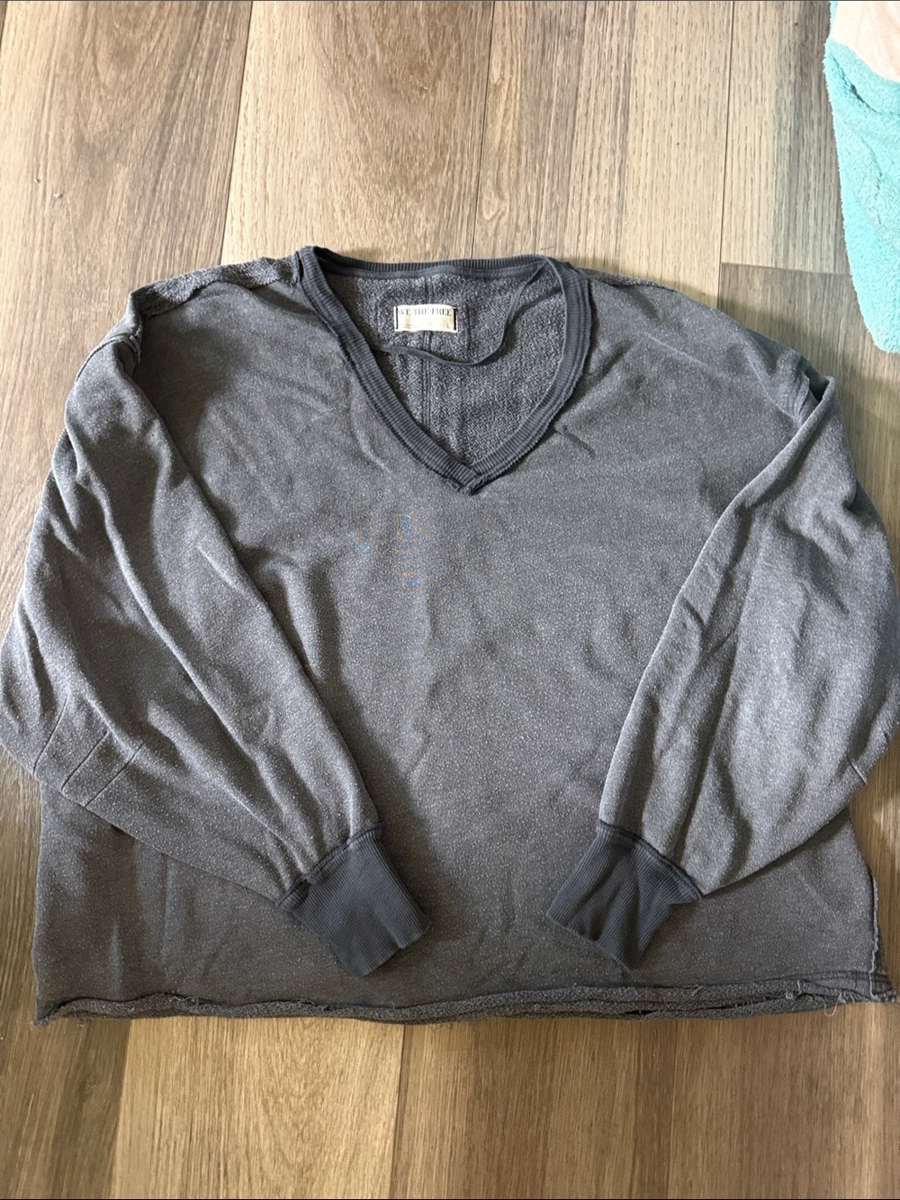 We the Free People Vneck sweater